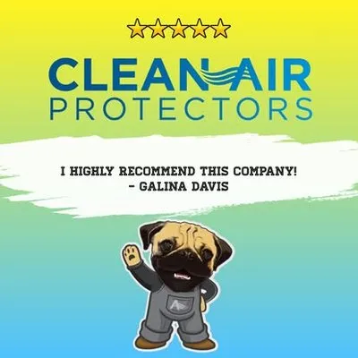 Clean Air Protectors Logo