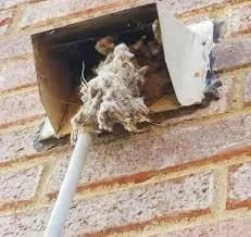 Slide of Clean Air Solutions