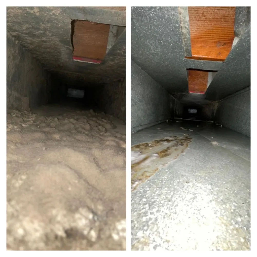 Slide of Clean Air U.S.