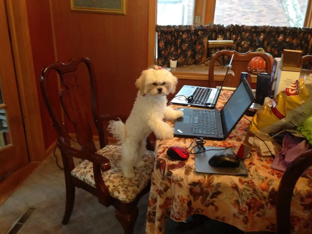 Slide of Clean Gene's