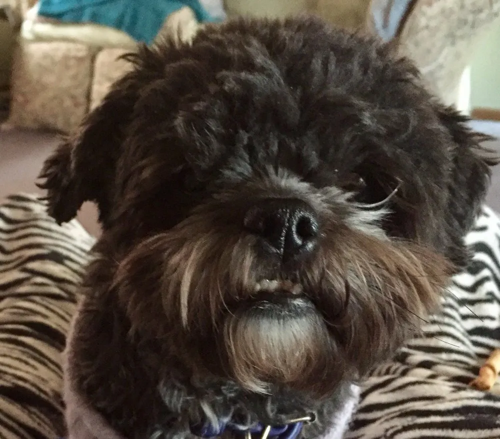 Slide of Clean Gene's