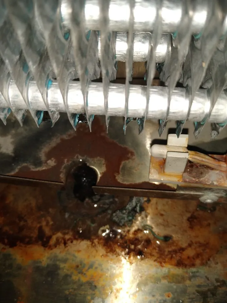 Slide of Clean Ice Services