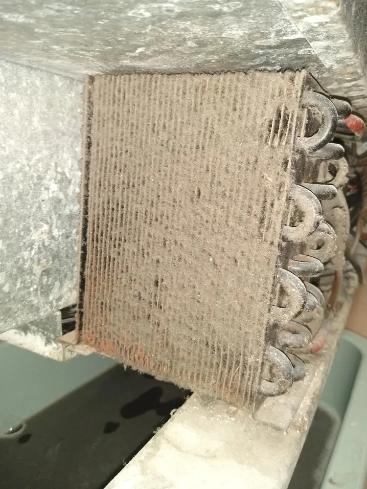 Slide of Clean Ice Services