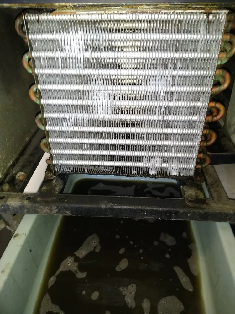 Slide of Clean Ice Services