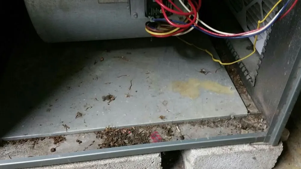 Slide of CleanAir Vent