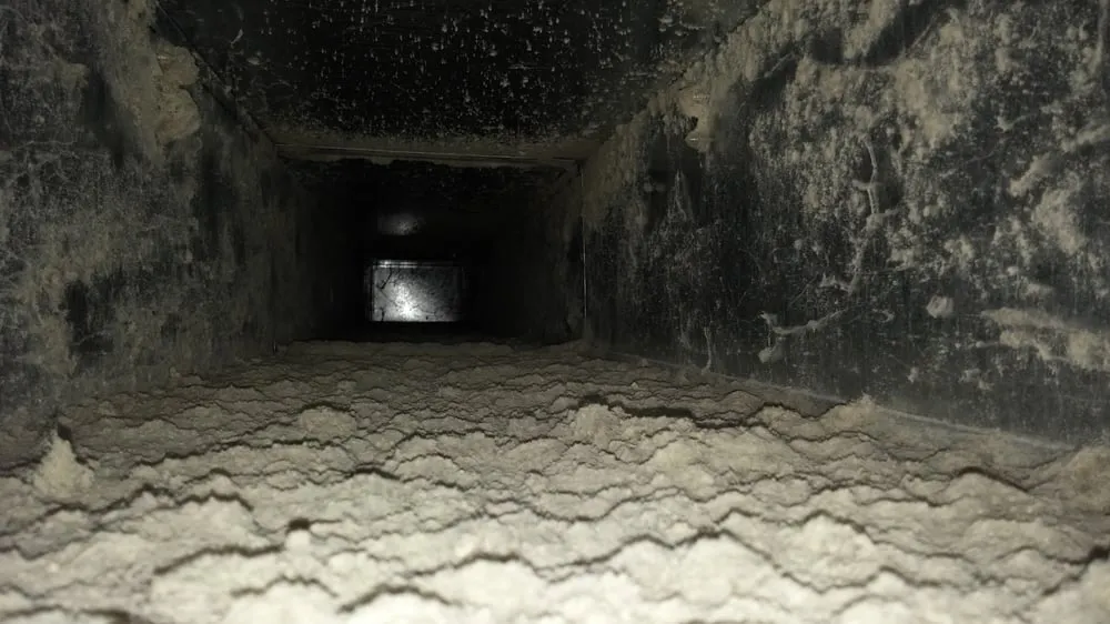 Slide of Cleaner Air Solutions