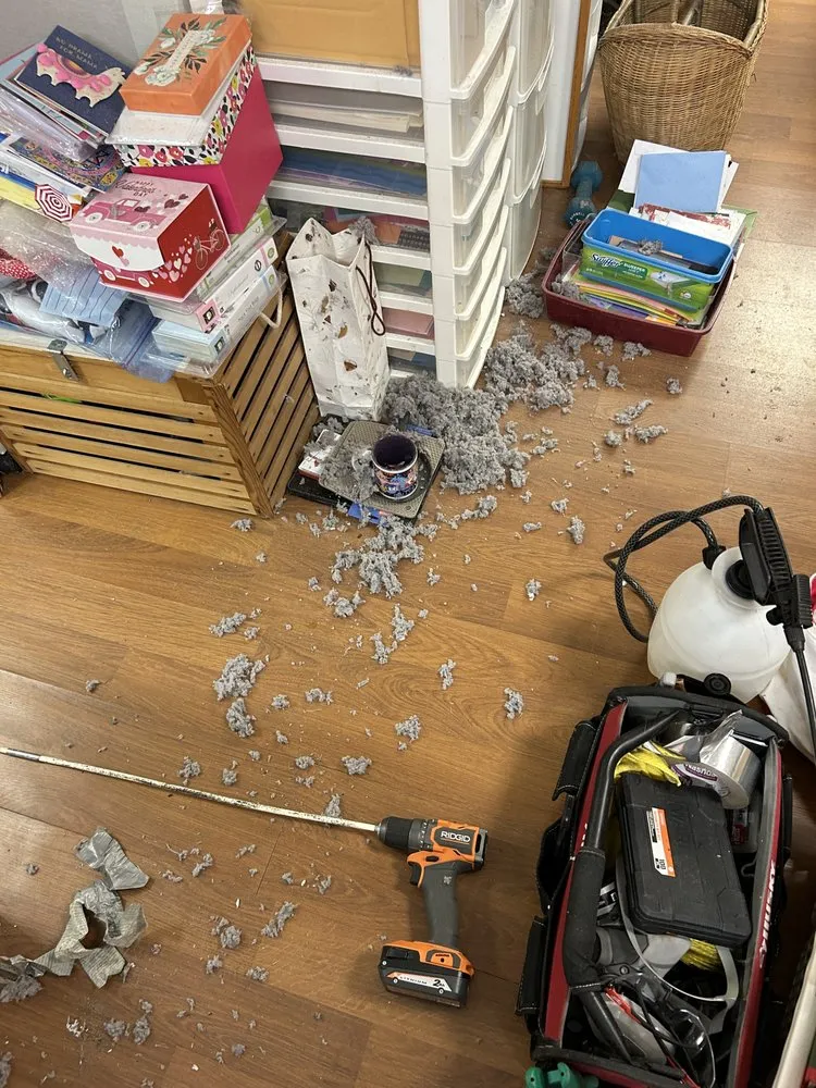 Slide of CleanUp-Services