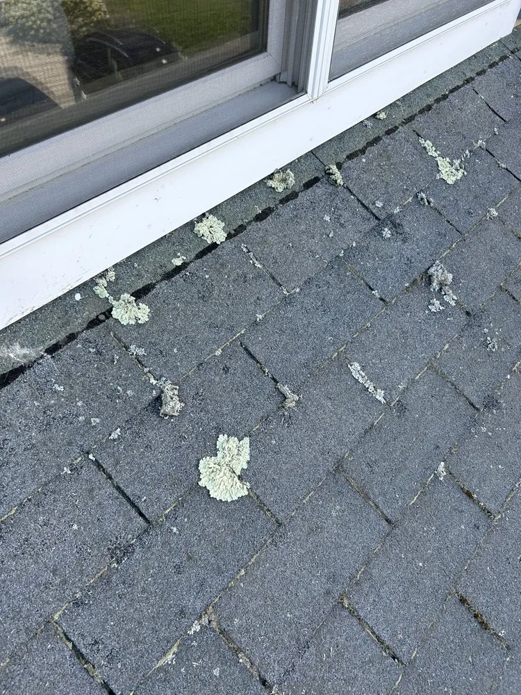 Slide of CleanUp-Services