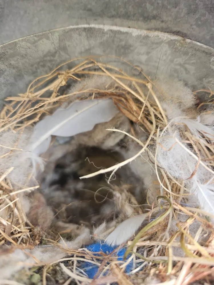 Slide of Clear The Air Services