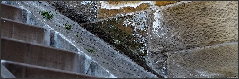 Slide of Clever Restoration Team