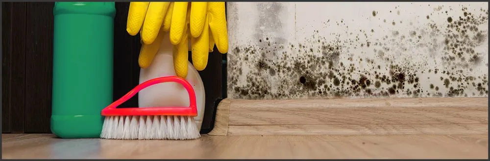 Slide of Clever Restoration Team