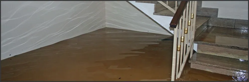 Slide of Clever Restoration Team