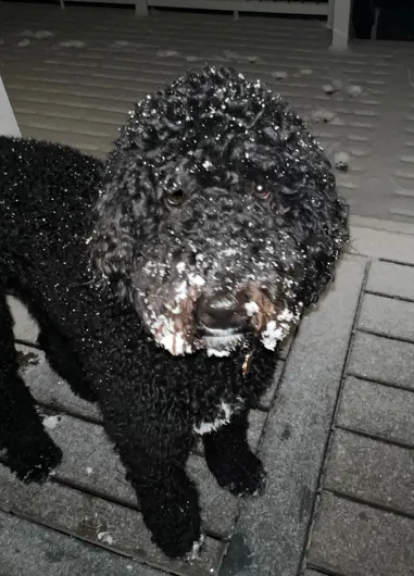 Slide of Click Heating and Air