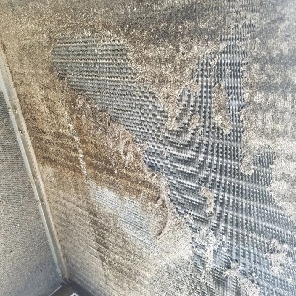 Slide of Climate Advisers