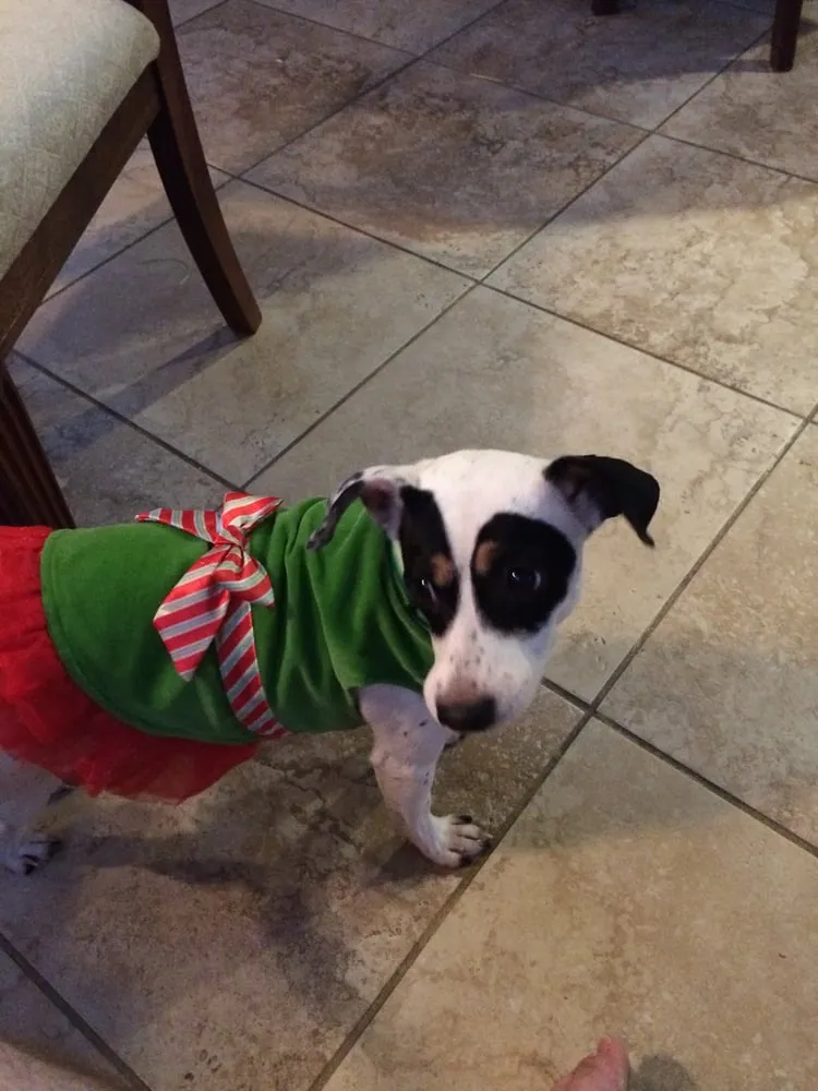 Slide of Climate Control Services