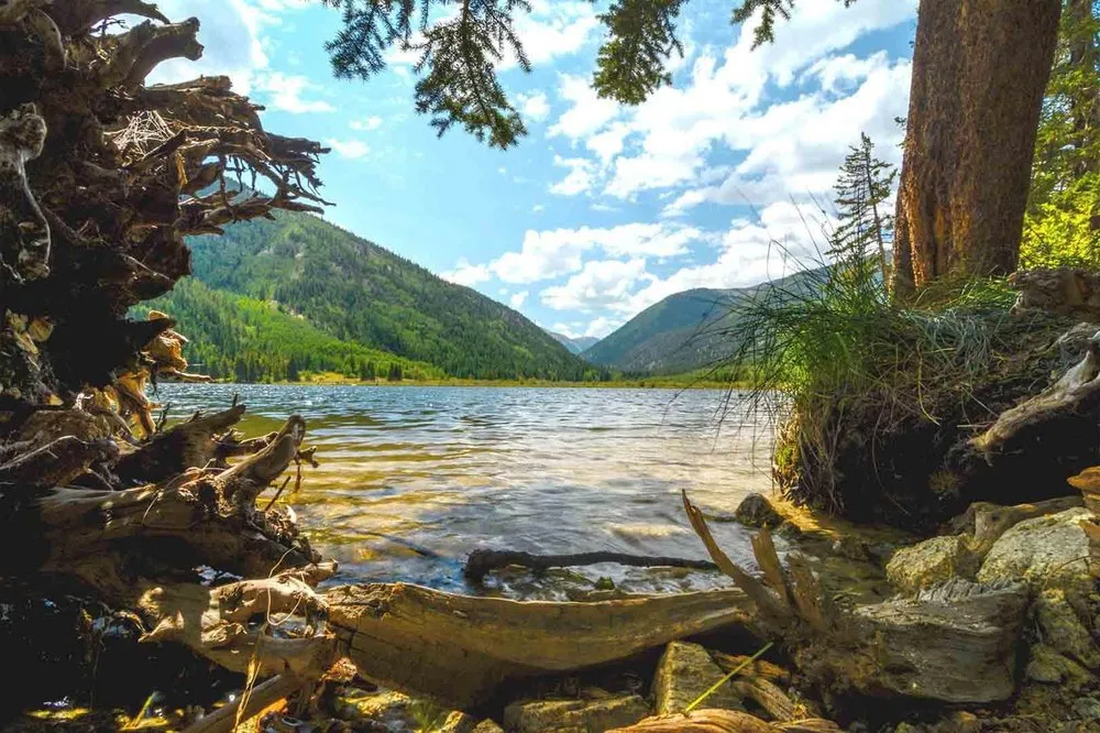 Slide of Climate Design