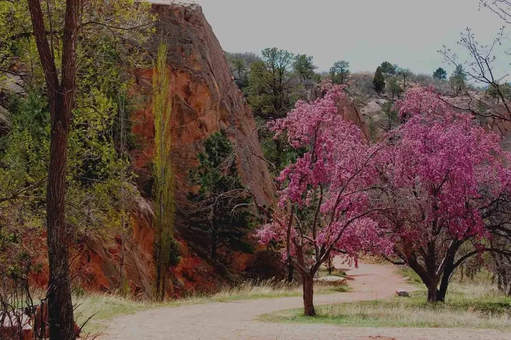 Slide of Climate Design