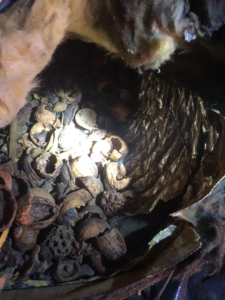 Slide of Climate Doctors