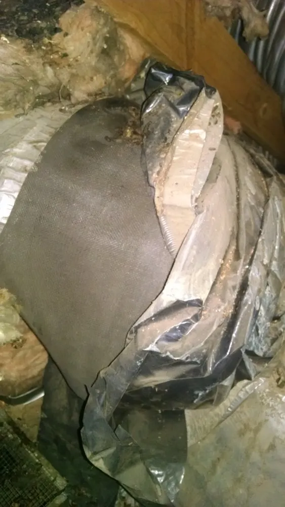 Slide of Climate Doctors