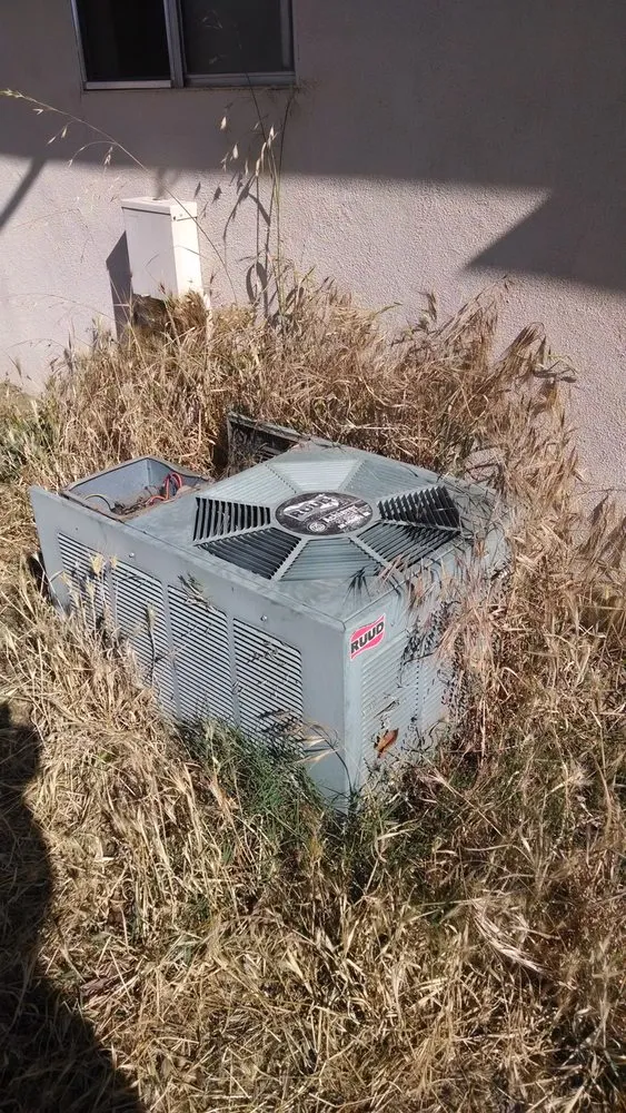 Slide of Climate Doctors