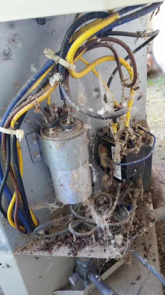 Slide of Climate Doctors