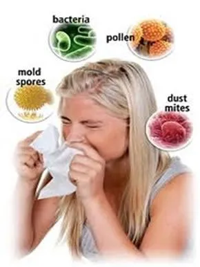 Slide of Climate Fresh Inc.