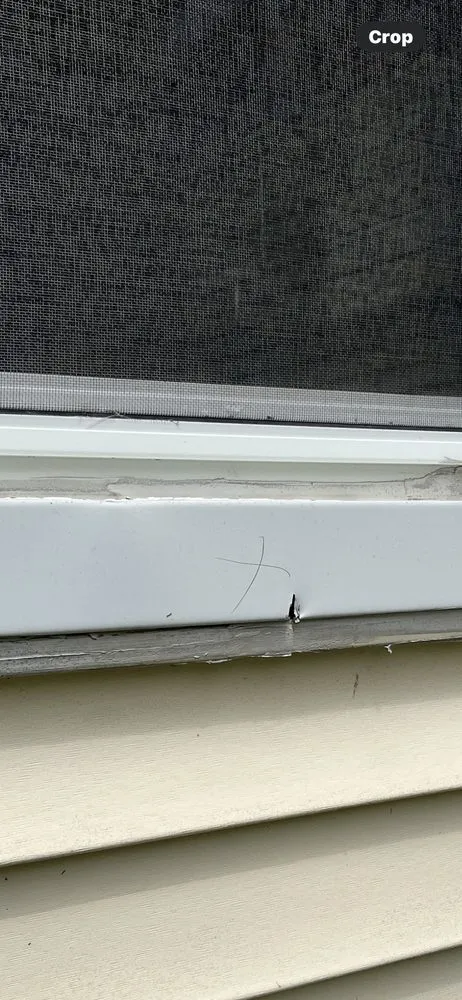 Slide of Climate Giant