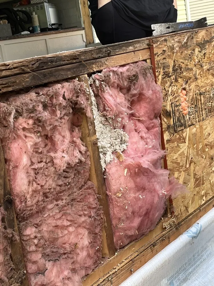 Slide of Climate Giant