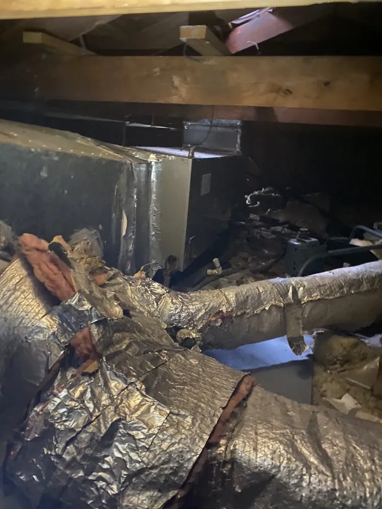 Slide of Climate King