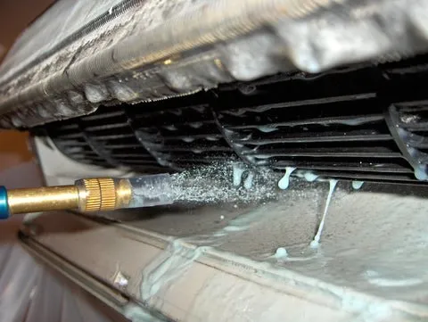 Slide of Climate Kings