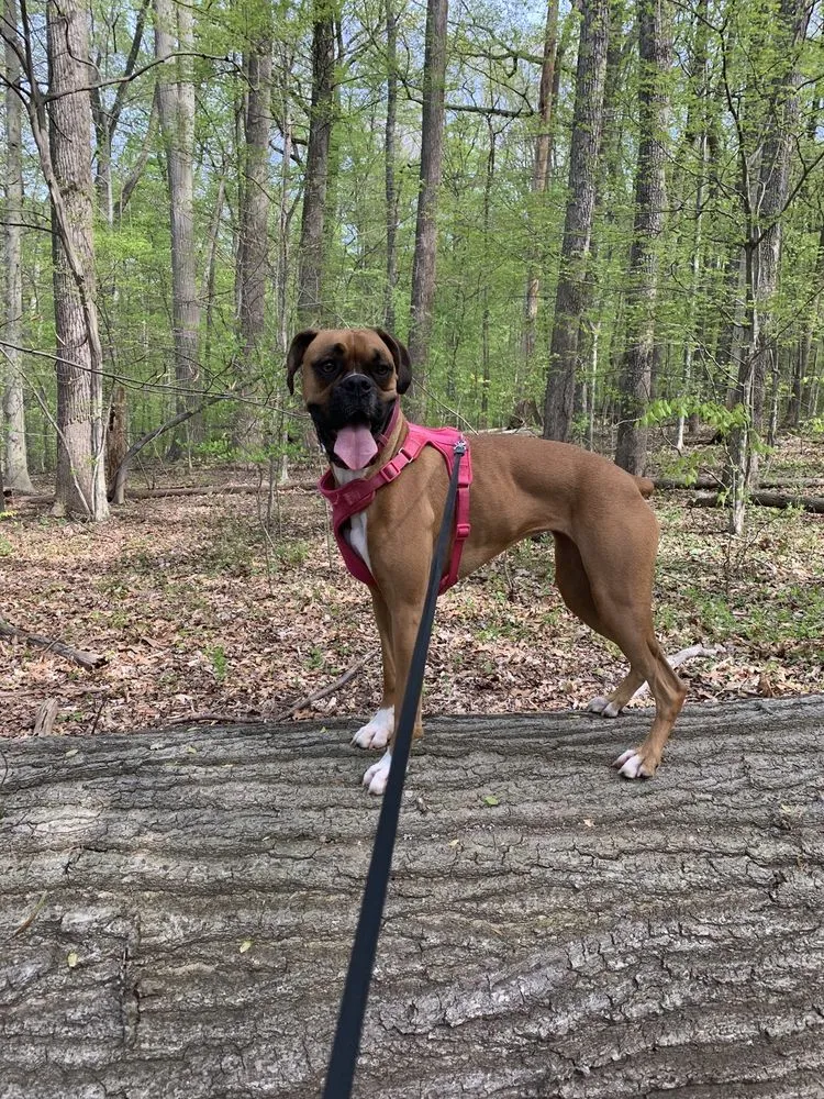 Slide of Climate Masters