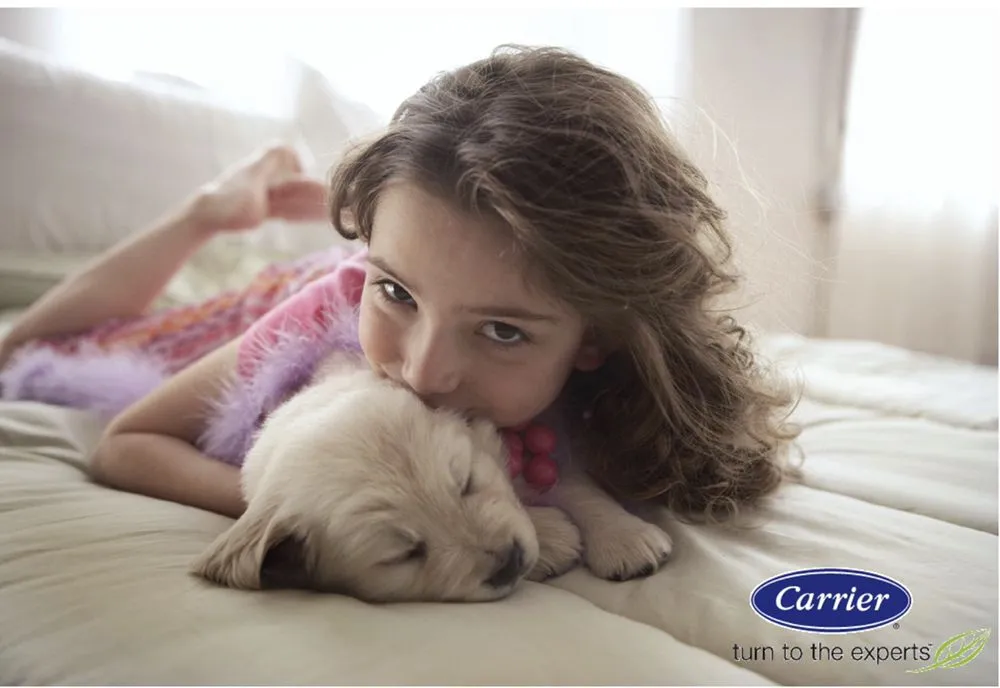 Slide of Climate Mechanical Solutions