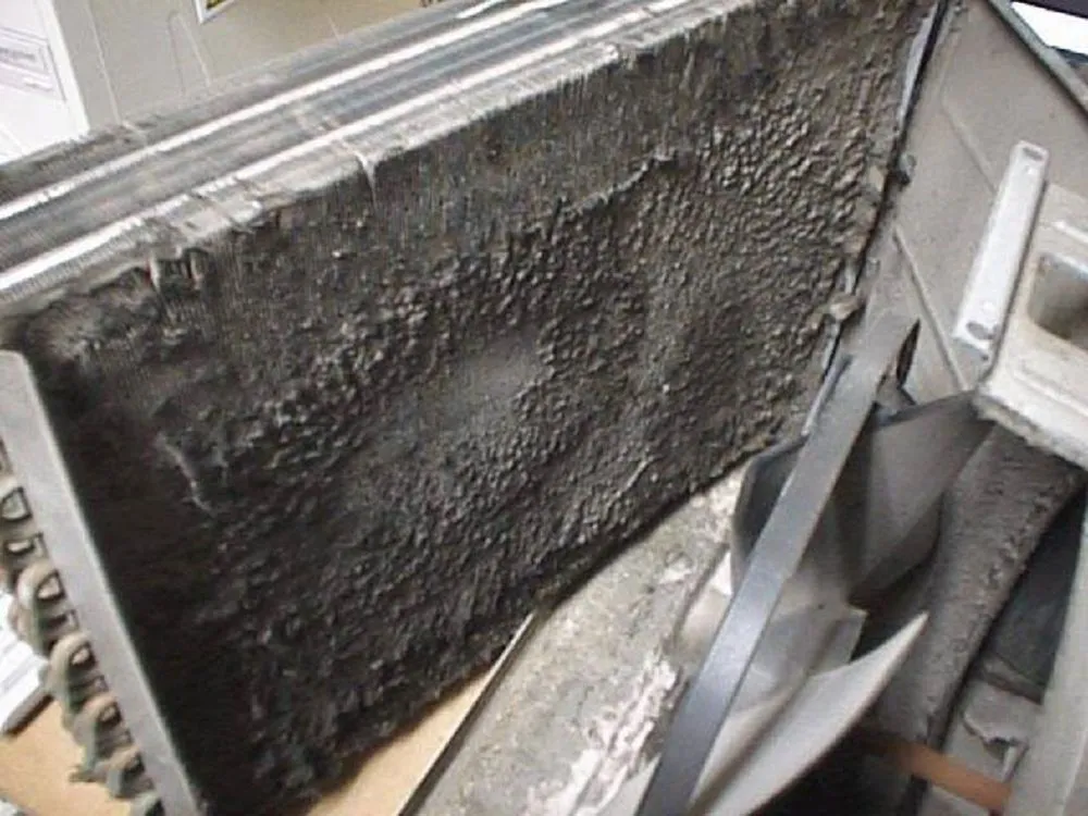 Slide of Climate Mechanics