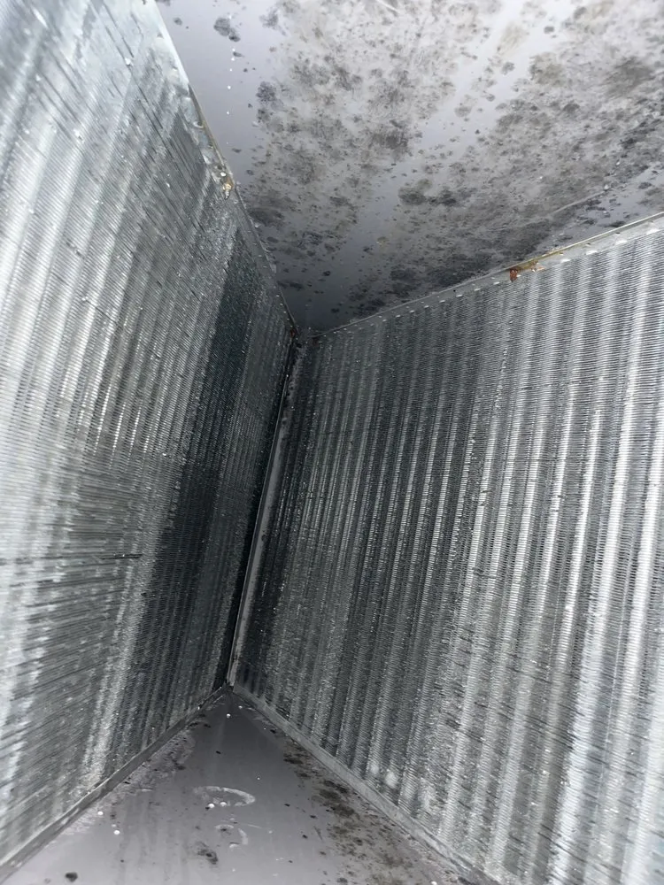 Slide of Climate Solutions