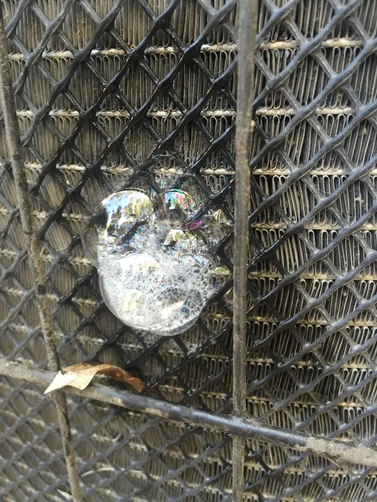 Slide of Climate Specialists