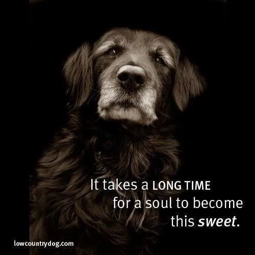 Slide of Climate-Tech Heating and Cooling