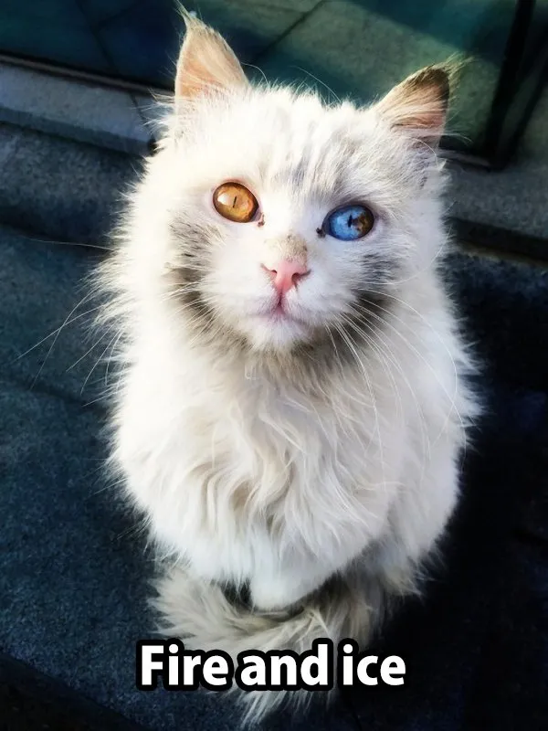 Slide of Climate-Tech Heating and Cooling