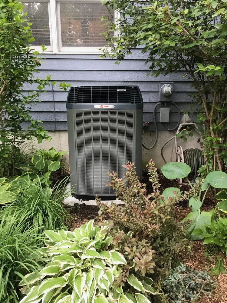 Slide of Cloverleaf Mechanical