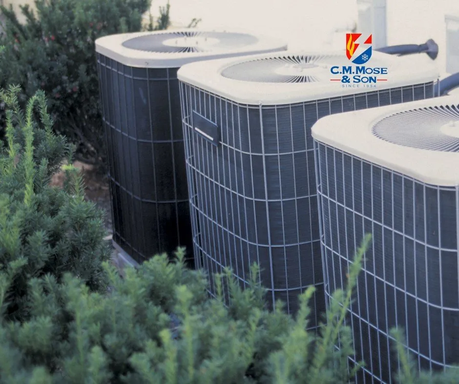 Slide of C.M. Mose & Son