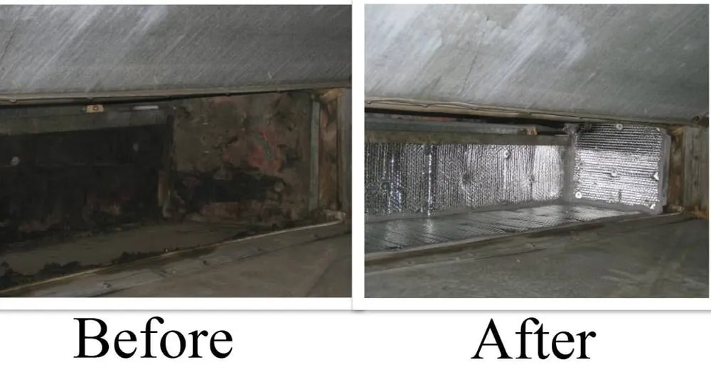 Slide of Coast Environmental