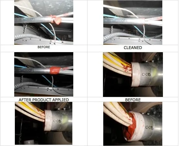 Slide of Coast Environmental