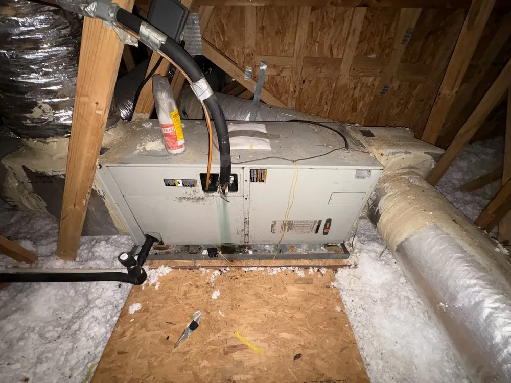 Slide of Coastal Carolina Comfort