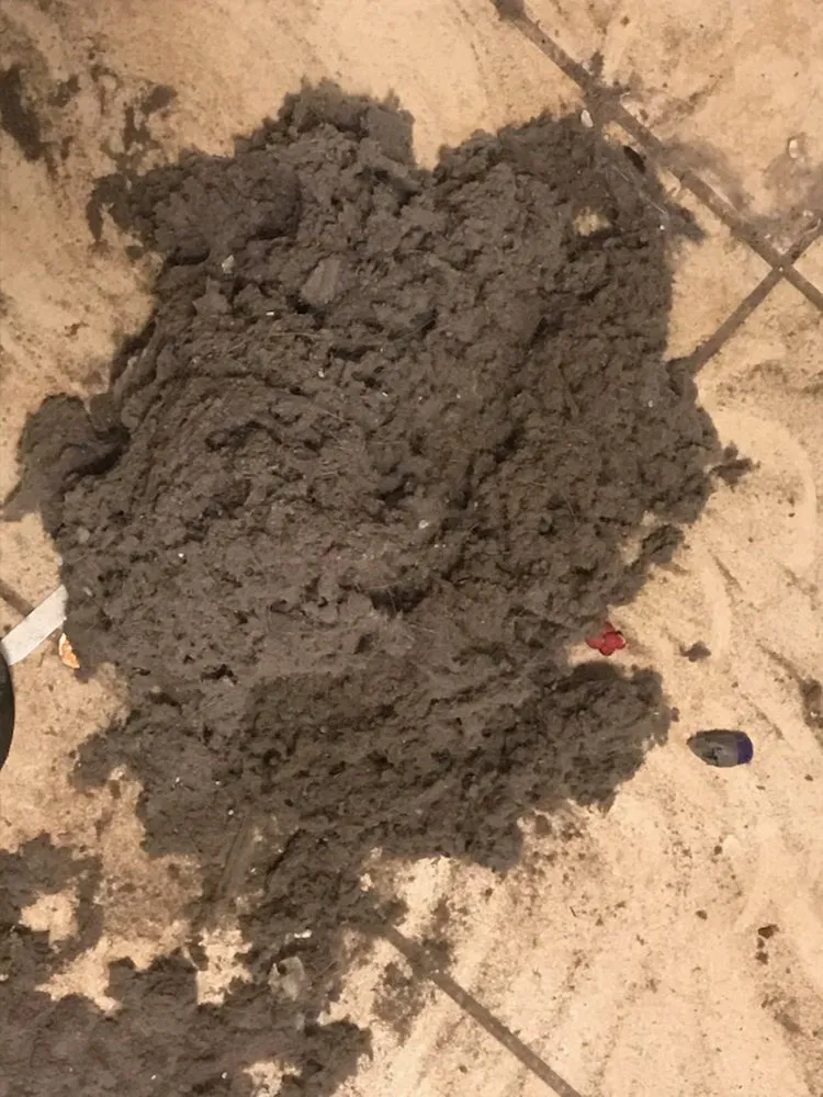 Slide of Coastal Carolina Comfort