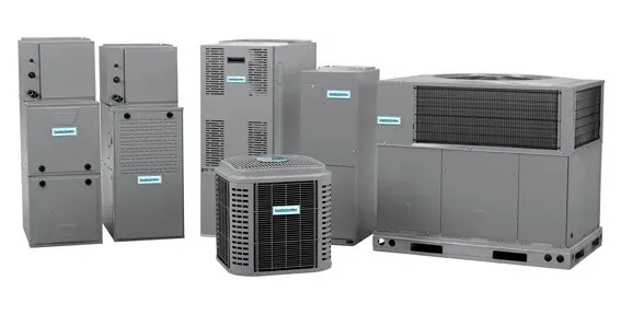 Slide of Coastal Comforts of Tampa Bay