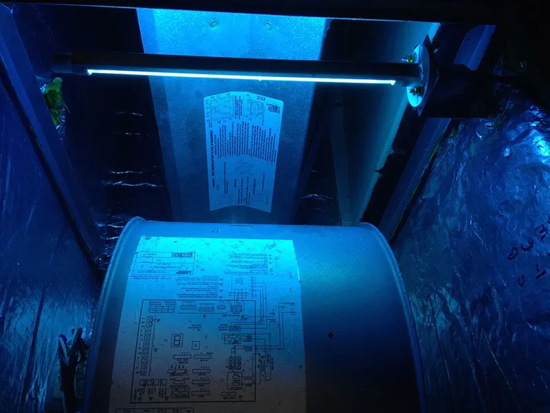 Slide of Coastal Comforts of Tampa Bay