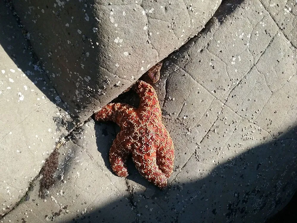 Slide of Coastal Heating & Air Conditioning