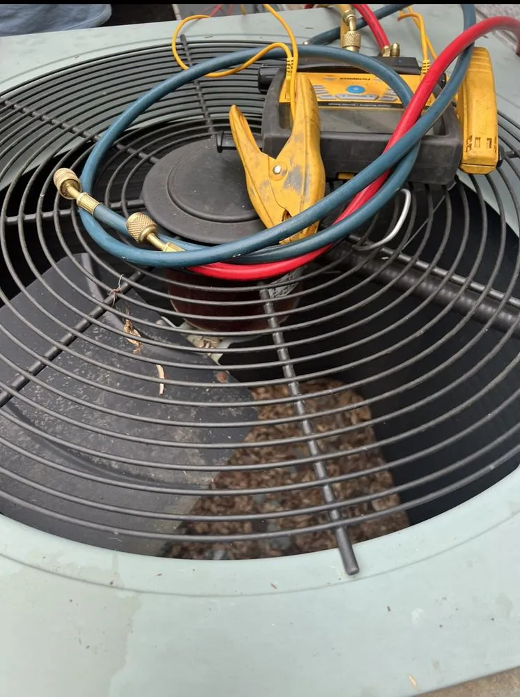 Slide of Coastline Heating and Cooling