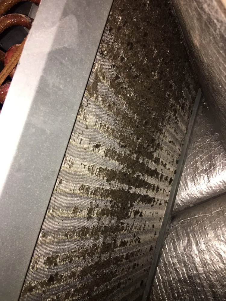 Slide of Cobalt Home Services