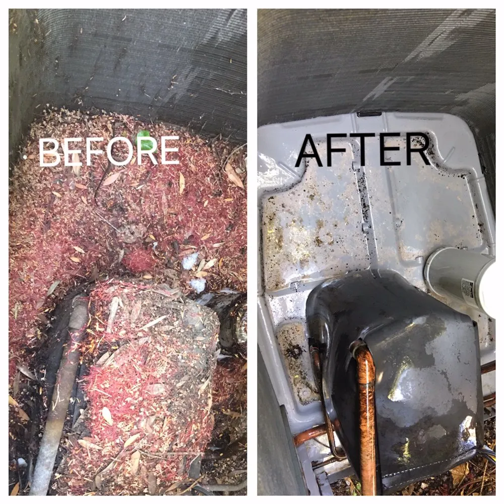 Slide of Cobalt Home Services