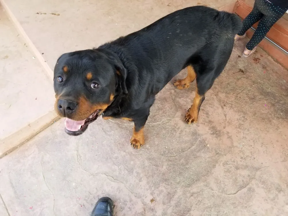 Slide of Cobra Air Conditioning